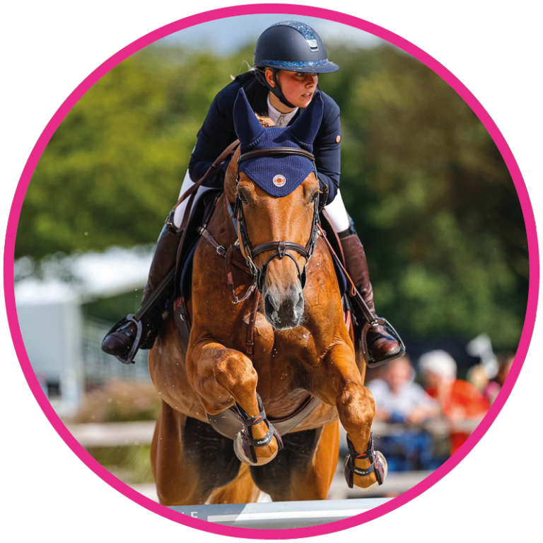 Brightfields Stables – Brightfields Stables