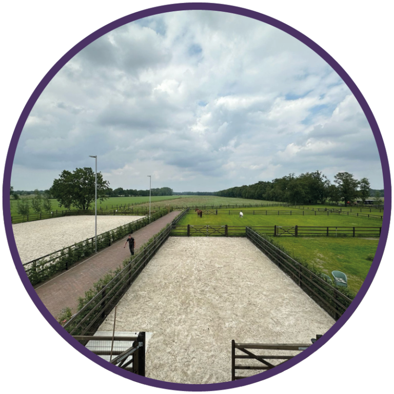Brightfields Stables – Brightfields Stables