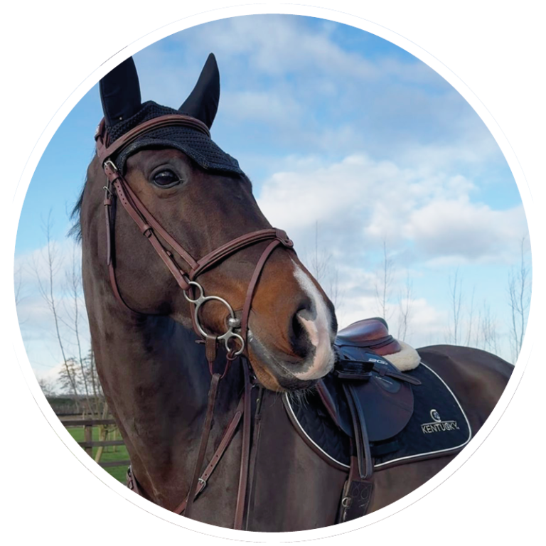 Brightfields Stables – Brightfields Stables