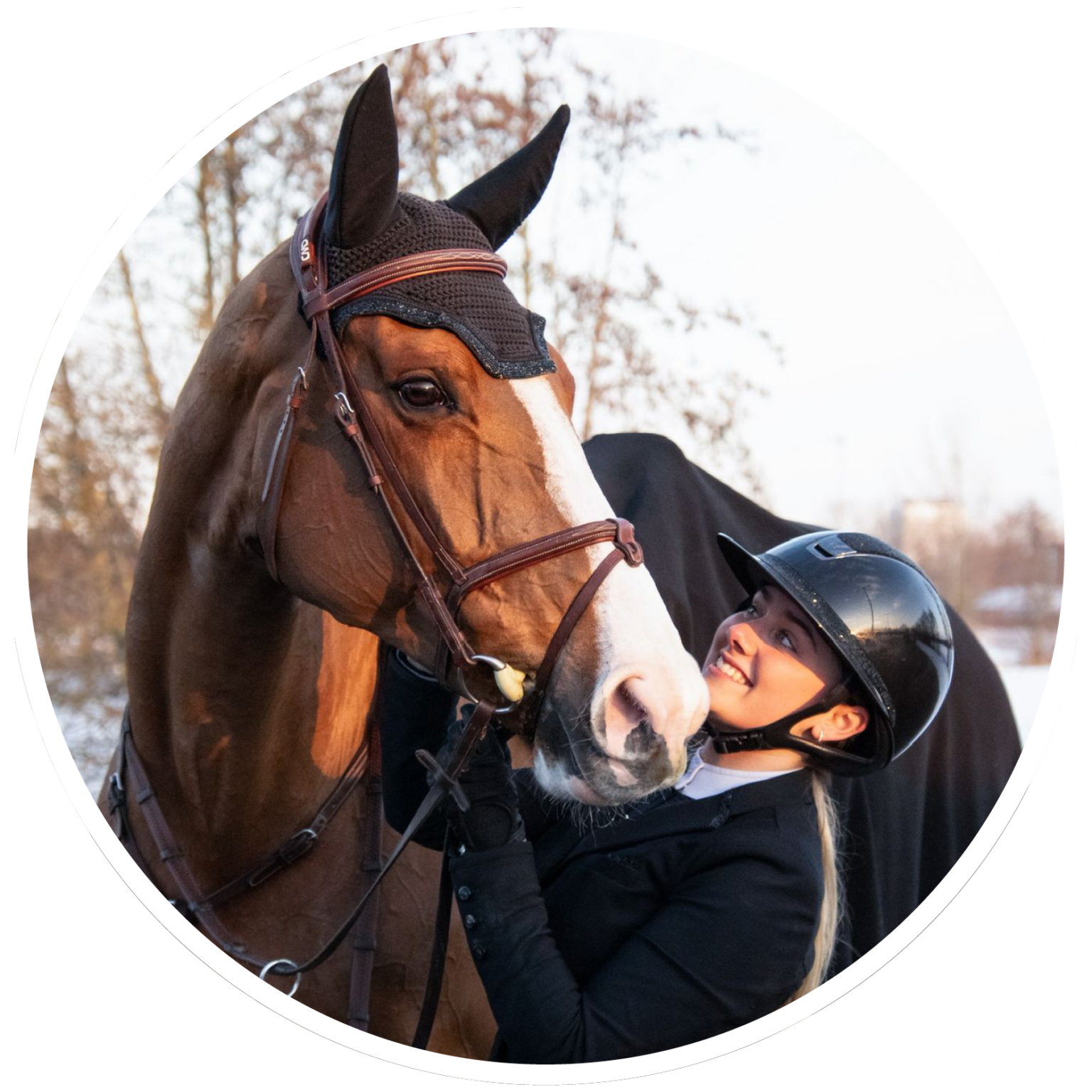 Brightfields Stables – Brightfields Stables